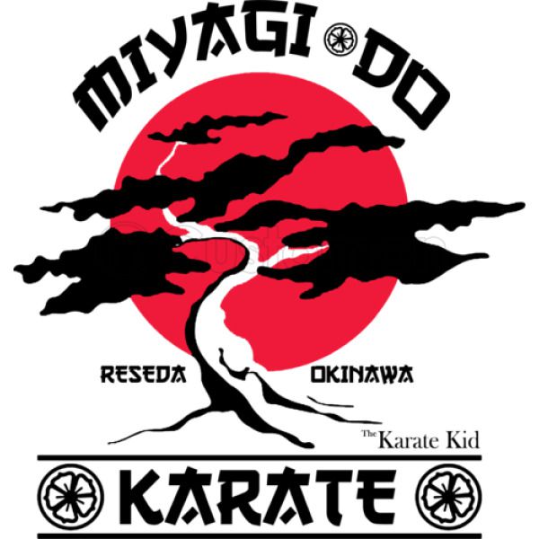 Karate Kid Season 6